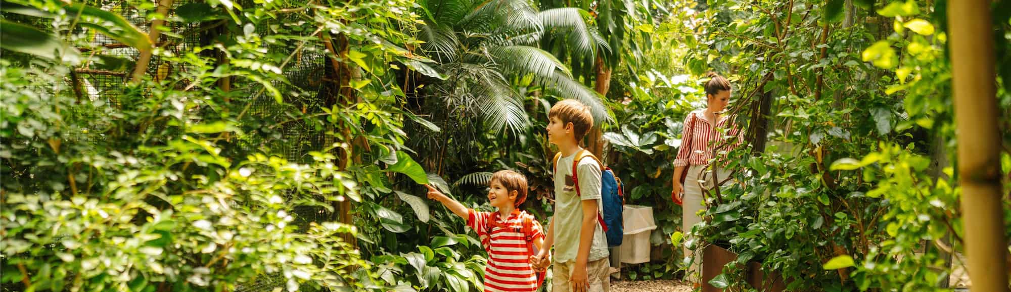 Blog images - 2025 VOL 3 - Discover the Charm of Botanical Garden in Karlsruhe