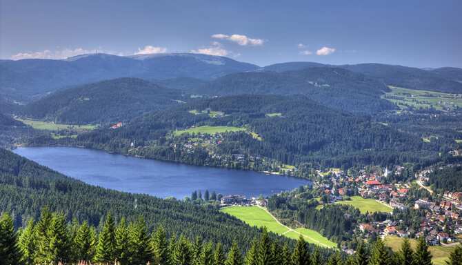 Blog images - 2025 VOL 3 - GettyImages