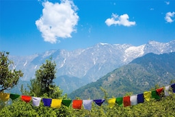 Blog images - 2025 VOL 3 - Discover the Charm of McLeodganj