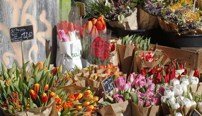 Blog images - 2025 VOL 3 - GettyImages