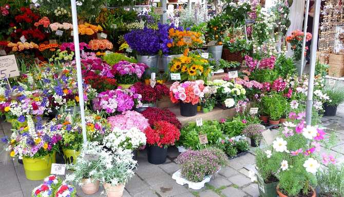 Blog images - 2025 VOL 3 - GettyImages