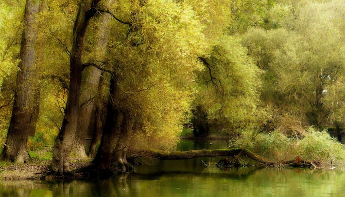 Blog images - 2025 VOL 3 - GettyImages