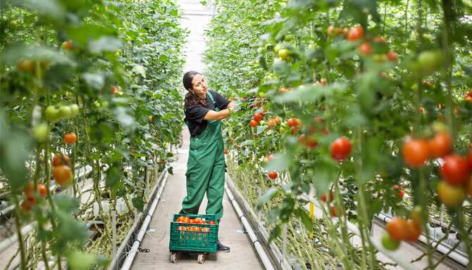 Blog images - 2025 VOL 3 - GettyImages