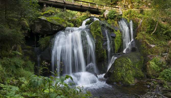 Blog images - 2025 VOL 3 - GettyImages