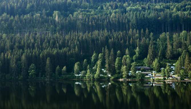 Blog images - 2025 VOL 3 - GettyImages