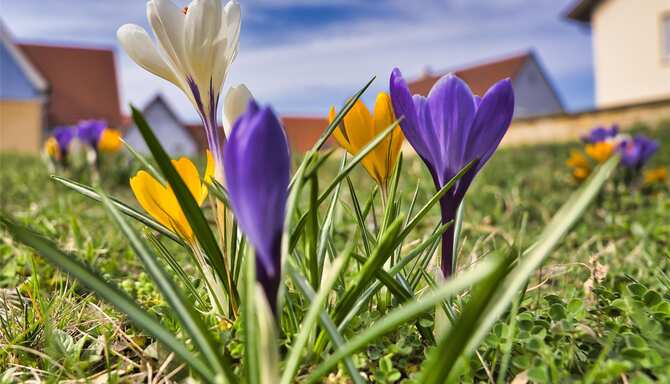 Blog images - 2025 VOL 3 - GettyImages