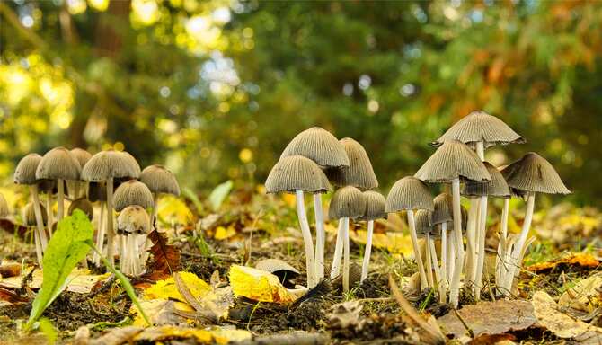 Blog images - 2025 VOL 3 - GettyImages