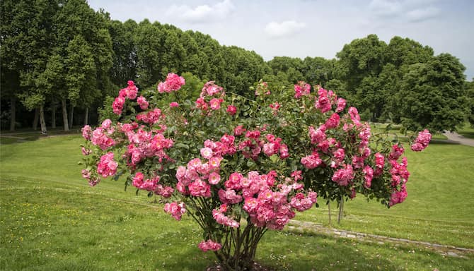 Blog images - 2025 VOL 3 - GettyImages