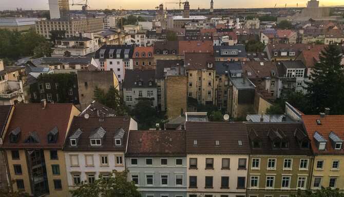 Blog images - 2025 VOL 3 - Visitor Information Essentials