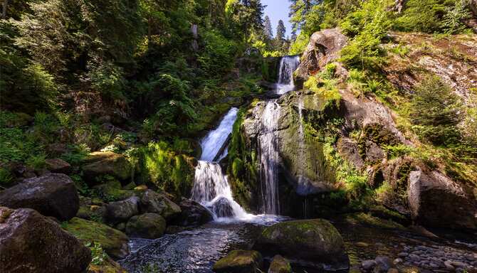 Blog images - 2025 VOL 3 - GettyImages