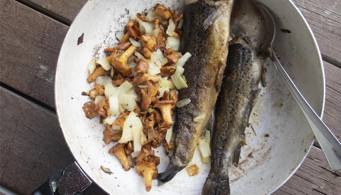 Blog images - 2025 VOL 3 - GettyImages