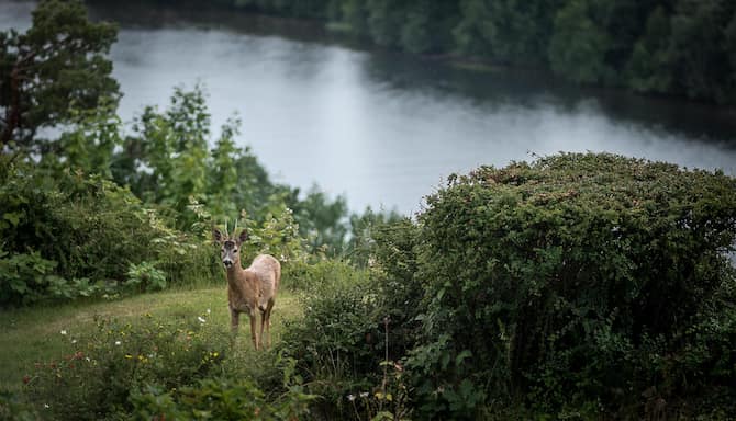 Blog images - 2025 VOL 3 - GettyImages