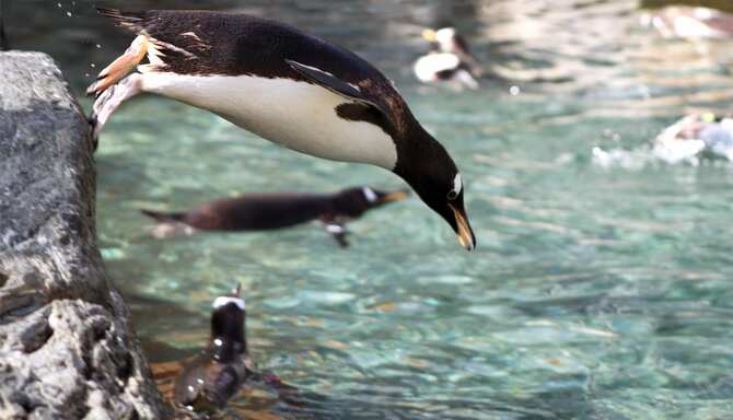 Blog images - 2025 VOL 3 - GettyImages