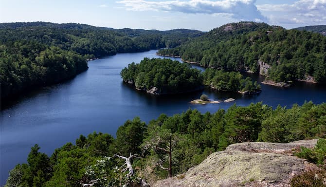 Blog images - 2025 VOL 3 - Discover the wonders of Kristiansand Zoo