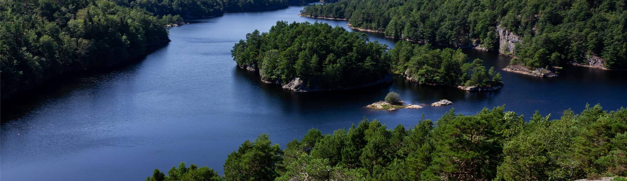 Blog images - 2025 VOL 3 - Discover the wonders of Kristiansand Zoo