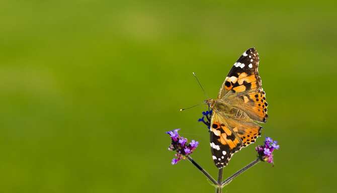 Blog images - 2025 VOL 3 - GettyImages