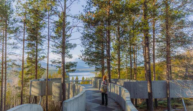 Blog images - 2025 VOL 3 - GettyImages