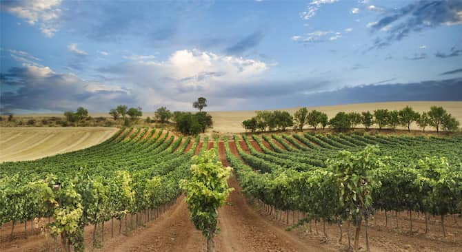 Blog images - 2025 - Wine day trips from Barcelona