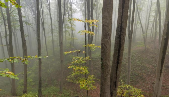 Blog images - 2025 - Hiking in Istanbul