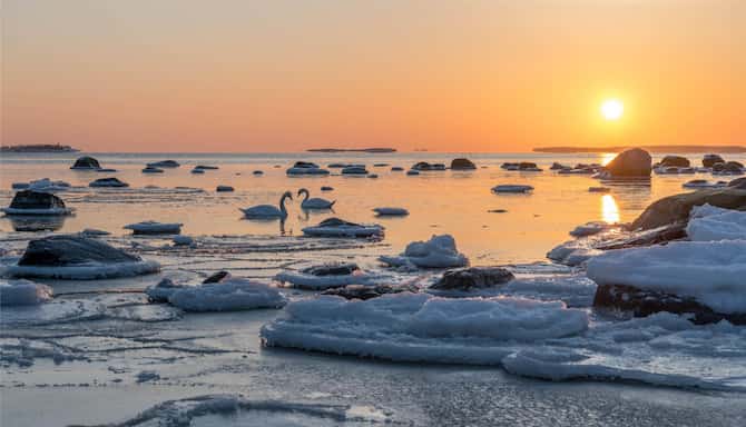Blog images - 2025 - Explore vibrant South Helsinki