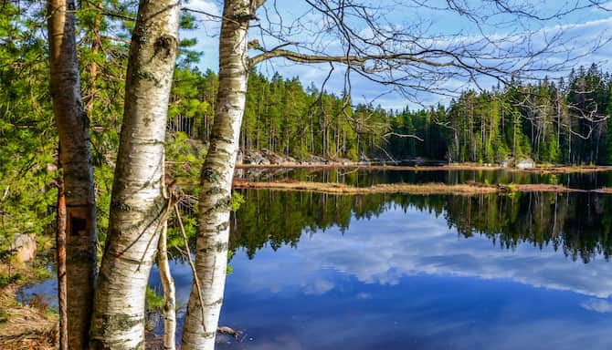 Blog images - 2025 - Nuuksio National Park