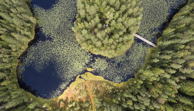 Blog images - 2025 - lake Haukkalampi Nuuksio National Park Finland