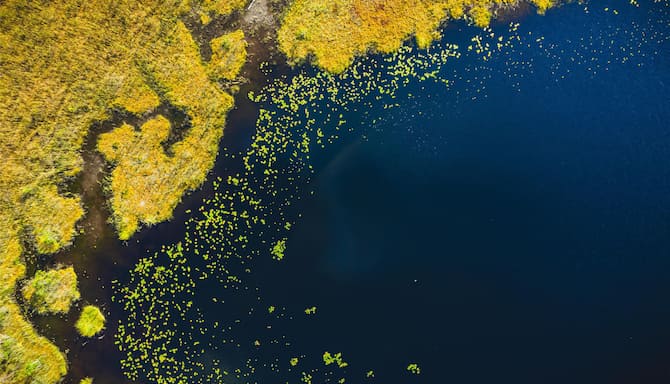 Blog images - 2025 - Lake in the Sipoonkorpi National Park in the southern Finland