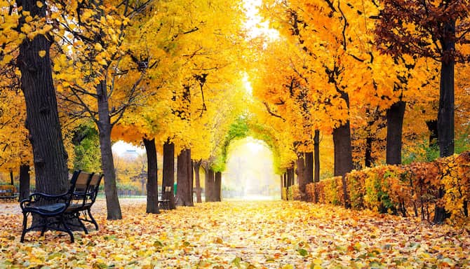 Blog images - 2025 - City park Vienna Austria Day Trips from Vienna