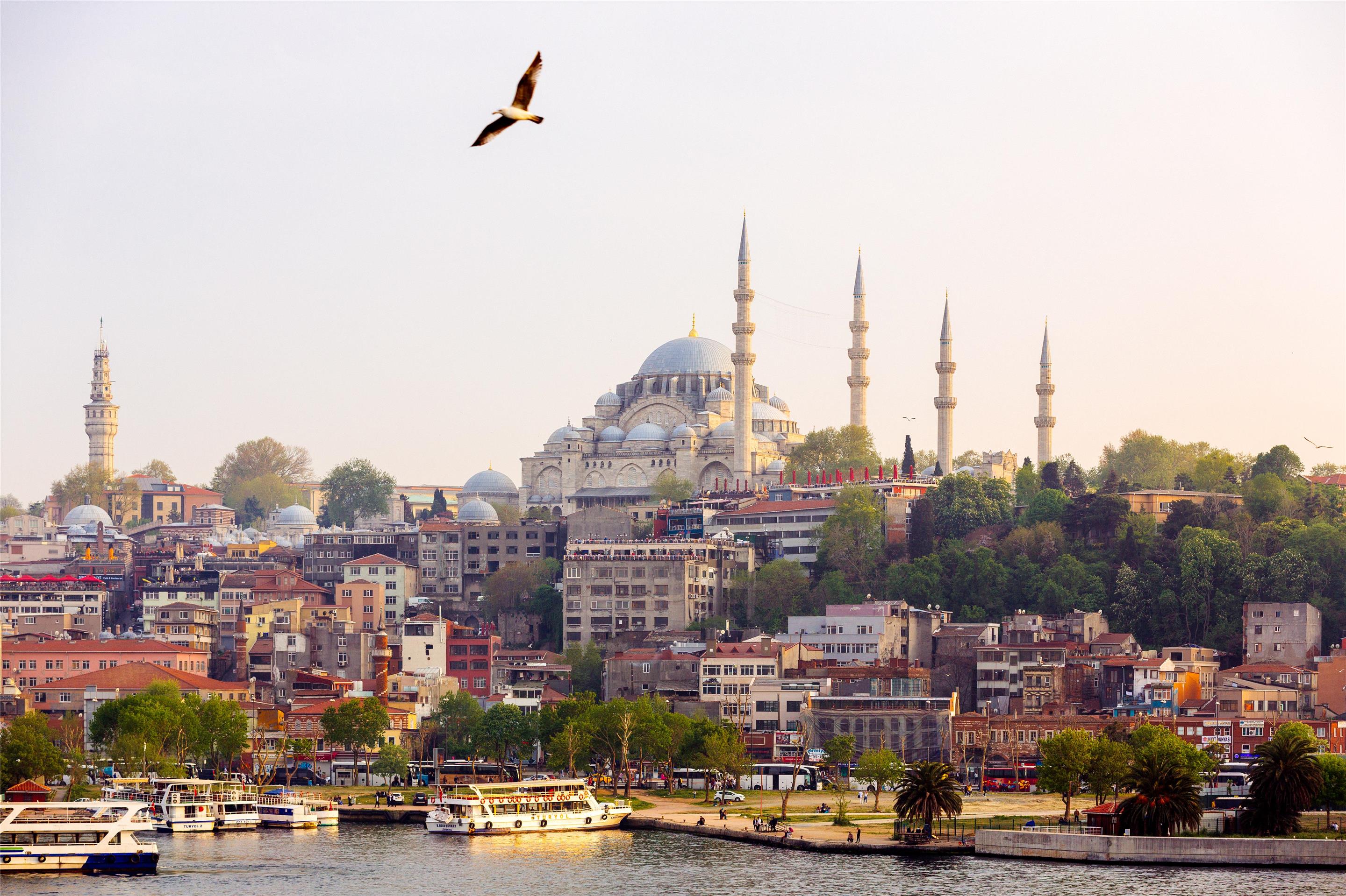 Blog images - 2025 - Suleymaniye Mosque in Istanbul Turkey Istanbul Museums