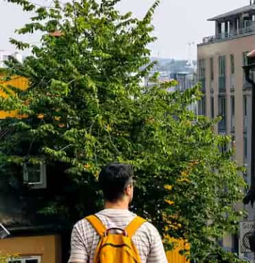 Blog images - 2025 - Things to Do in Oslo A Day Itinerary