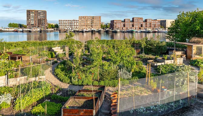 Blog images - 2025 - Discover Amsterdam neighborhoods hidden gems await Destination Ijburg island to the east of Amsterd