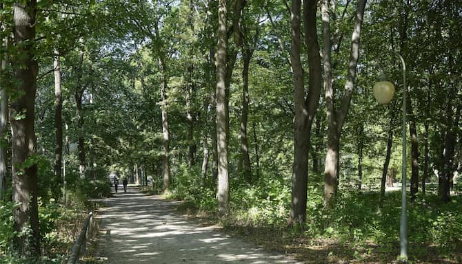 Blog images - 2025 - Discover the top sights in Berlin Experiences Berling places to visit