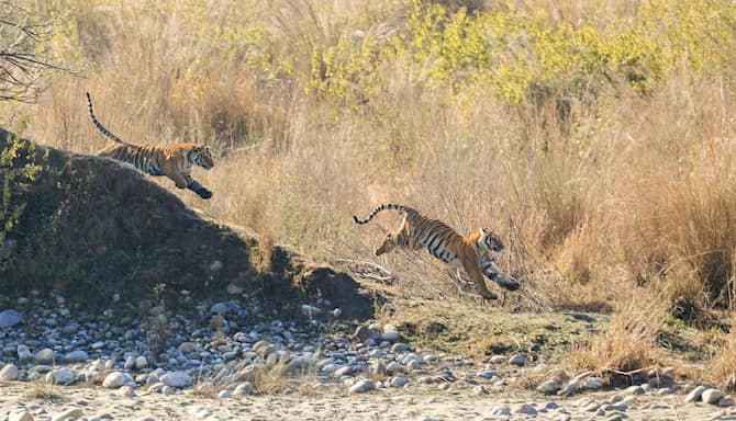Blog images - 2025 - Kumbhalgarh wildlife sanctuary India
