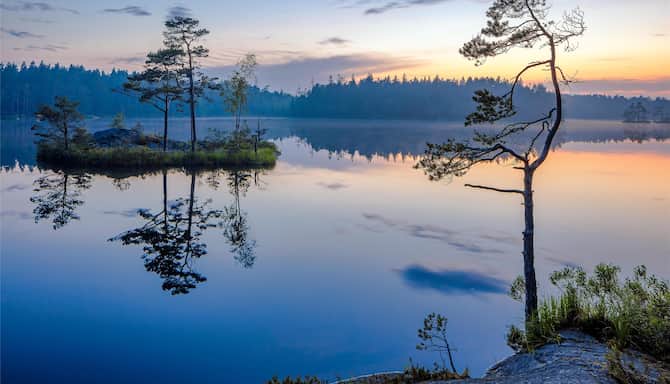 Blog images - 2025 - Day trips from Stockholm discover hidden gems Experiences Tyresta National Park Sweden