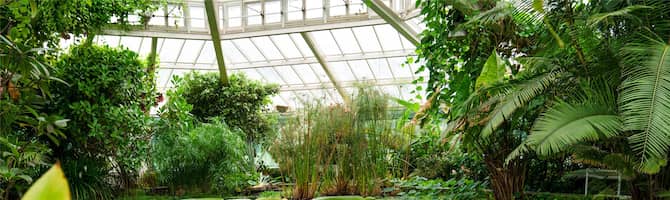 Blog images - 2025 - Discover the charm of Brussels museums Destination Botanical Garden Brussels