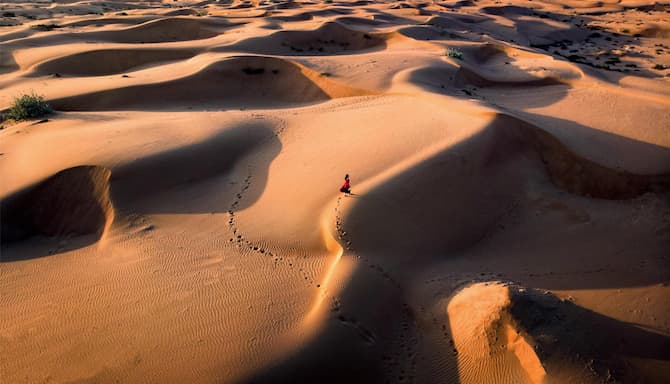 Blog images - 2025 - Adventure parks near Dubai for thrill seekers