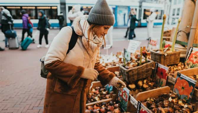 Blog images - 2025 - Amsterdam markets a vibrant journey awaits Experiences Food markets Amsterdam delights