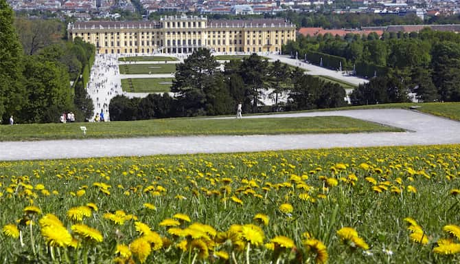 Blog images - 2025 - Things to Do in Vienna Discover the Unexpected French garden and Schonbrunn Palace
