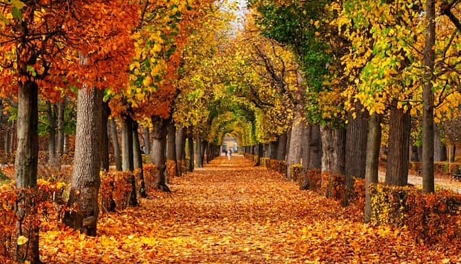 Blog images - 2025 - Things to Do in Vienna Discover the Unexpected park Vienna Austria