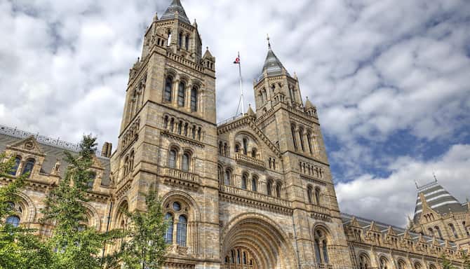 Blog images - 2025 - London Museums Natural History Museum London