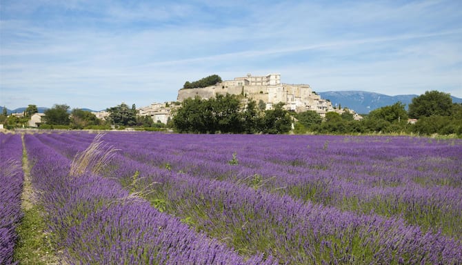 Blog images - 2025 - Valence Auvergne Rh ne Alpes France