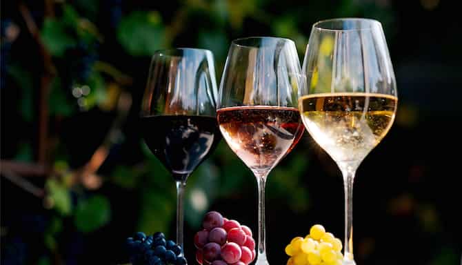 Blog images - 2025 - Wine Tours Near Lyon Sip and Savor