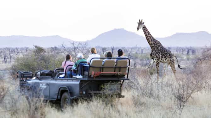 Blog images - 2025 - Things to do in Johannesburg uncover the unexpected Destination Safari in Johannesburg