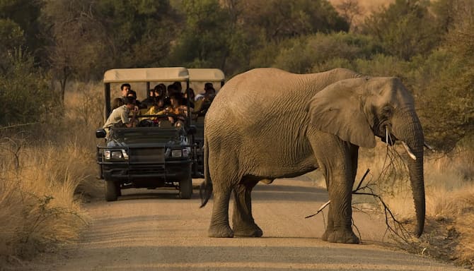 Blog images - 2025 - Day trips from Johannesburg discover hidden gems Destination Safari South Africa