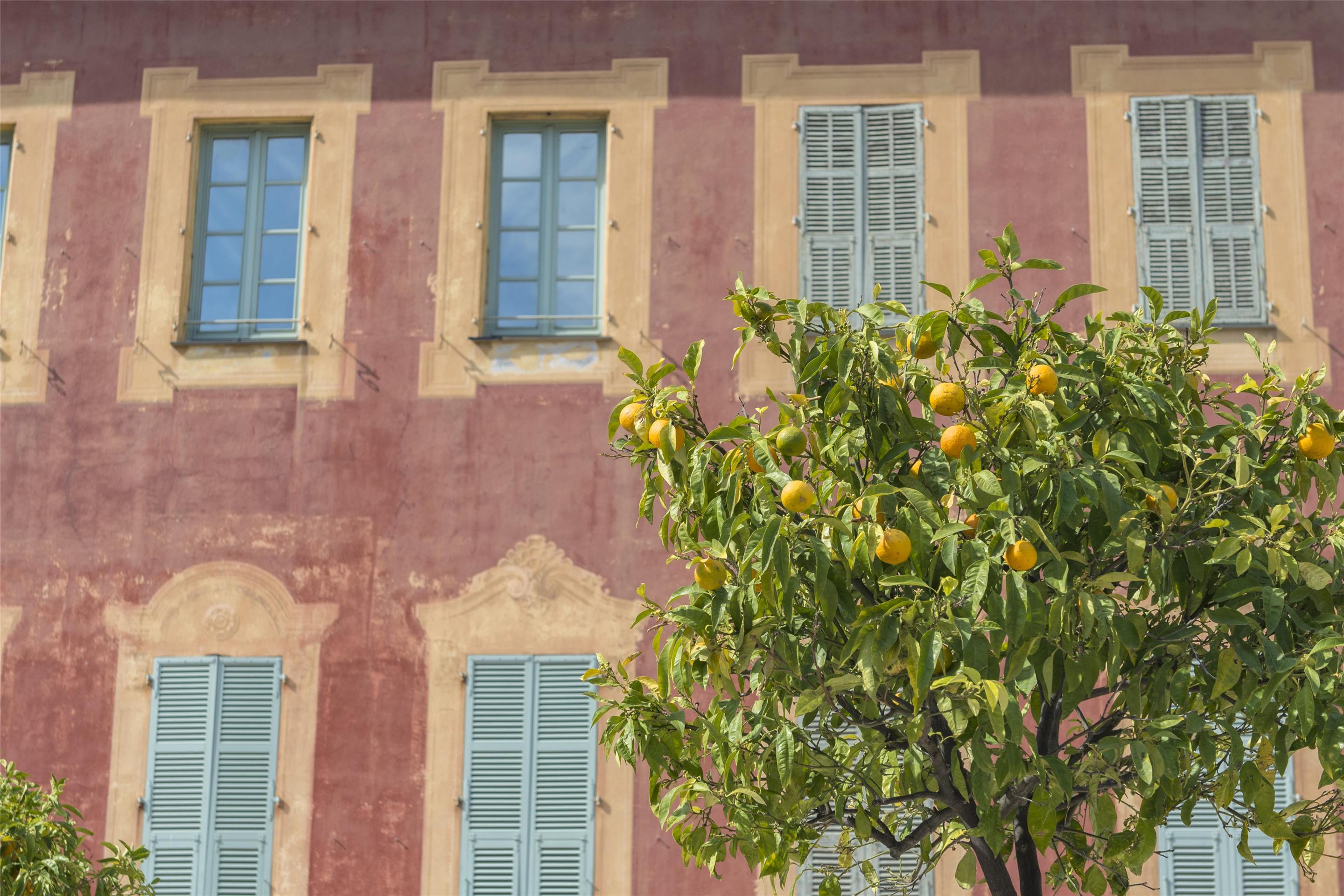 Matisse Museum Cimiez, Nice