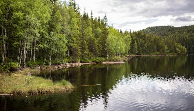 Blog images - 2025 - Things to Do in Oslo A Day Itinerary Destination Nordmarka lake