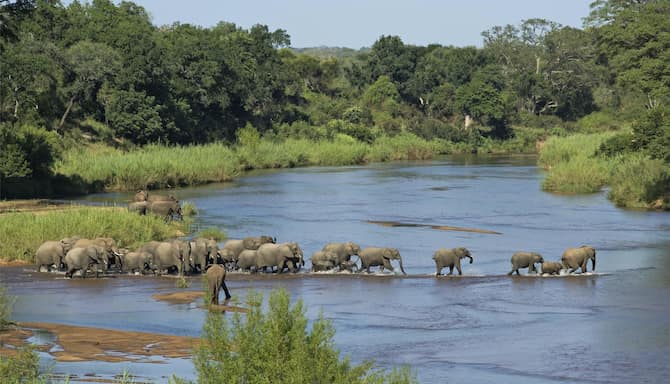 Blog images - 2025 - Day trips from Johannesburg discover hidden gems Destination Kruger National Park South Africa