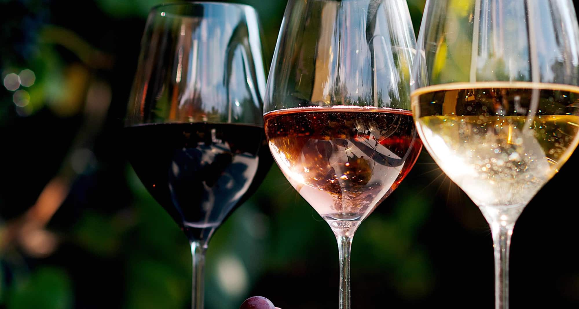Blog images - 2025 - Lyon Wine Tours Sip Savor and Explore food amp drink Lyon Wine Tours