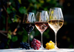 Blog images - 2025 - Lyon Wine Tours Sip Savor and Explore food amp drink Lyon Wine Tours
