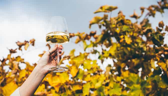 Blog images - 2025 - Lyon Wine Tours Sip Savor and Explore food amp drink Wine tasting in Lyon